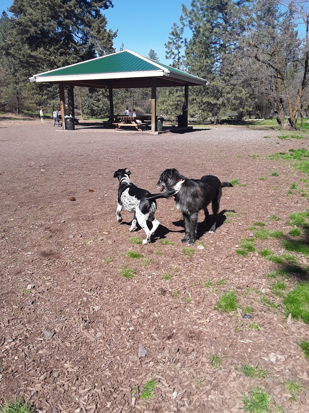 High Bridge Dog Park