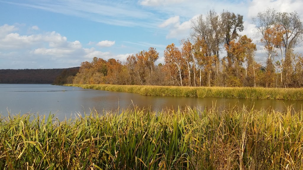 Sequoyah National Wildlife Refuge