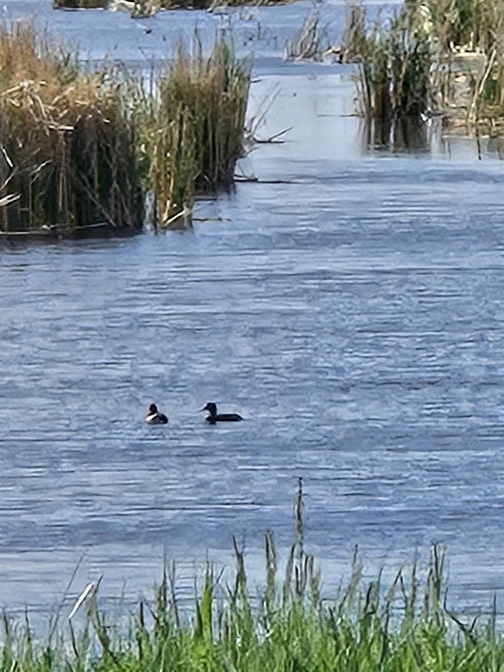 J. Clark Salyer National Wildlife Refuge