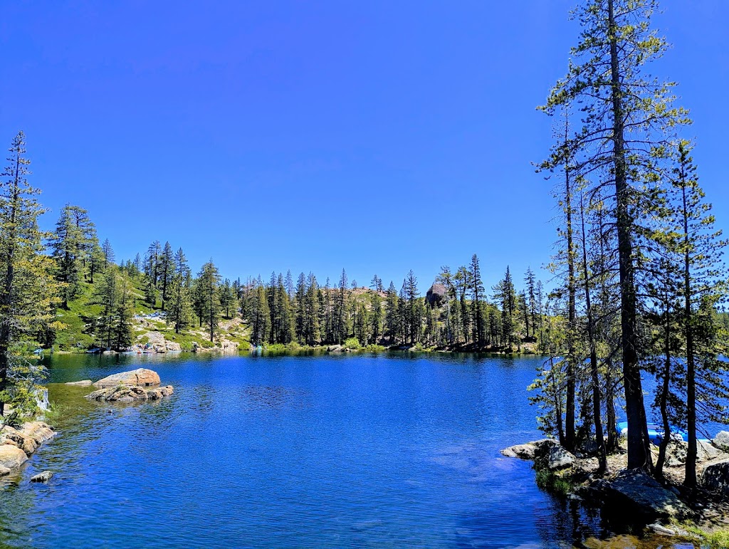 Tahoe National Forest