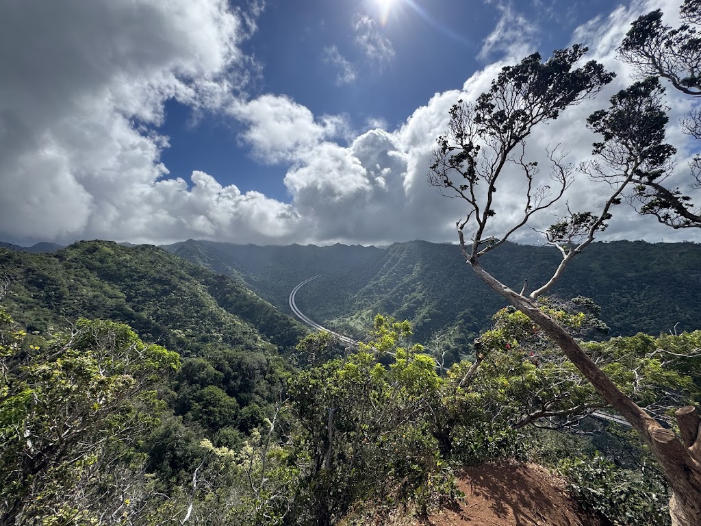 Aiea Loop Trail