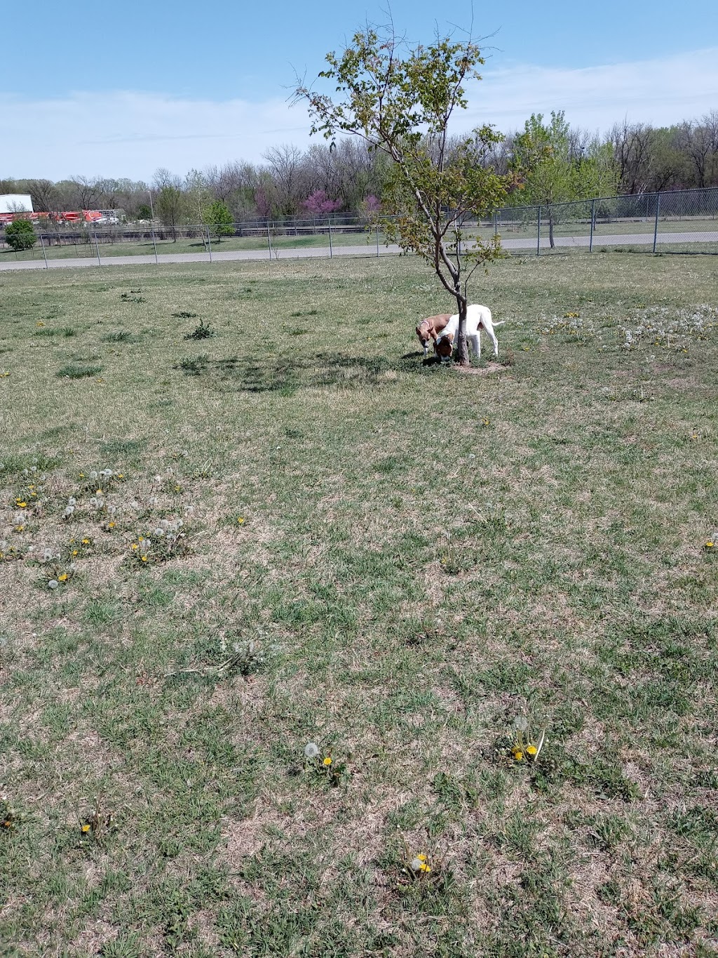 Murfin Dog Park