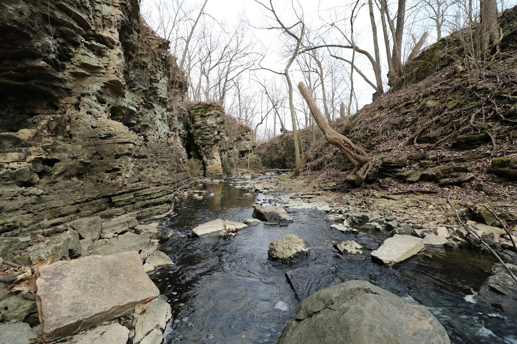 Camp Sagawau