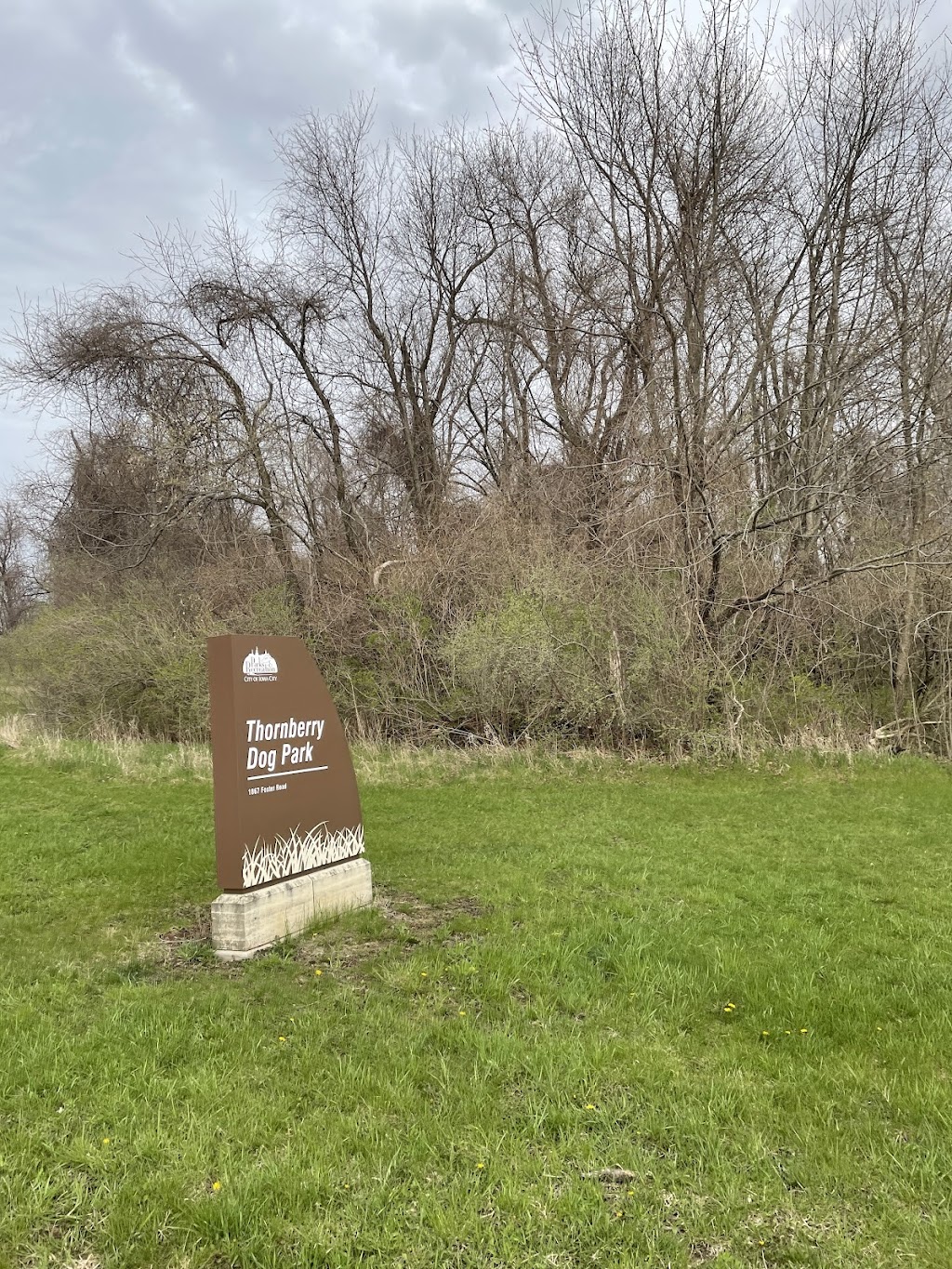 Thornberry Off-Leash Dog Park