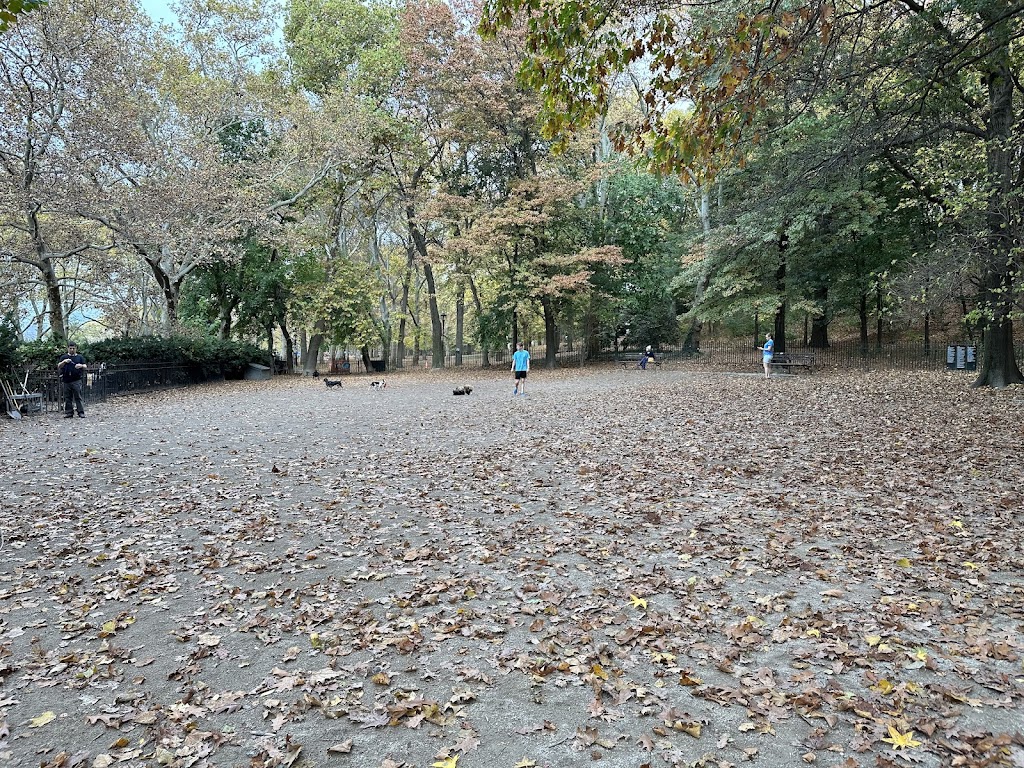 Riverside Park Dog Run (West 105th)
