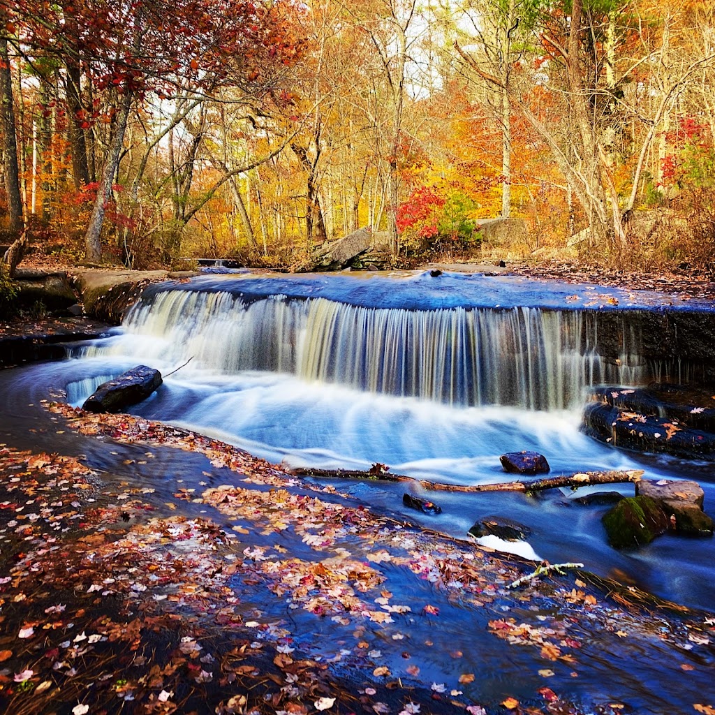 Stepstone Falls (Arcadia Management Area)