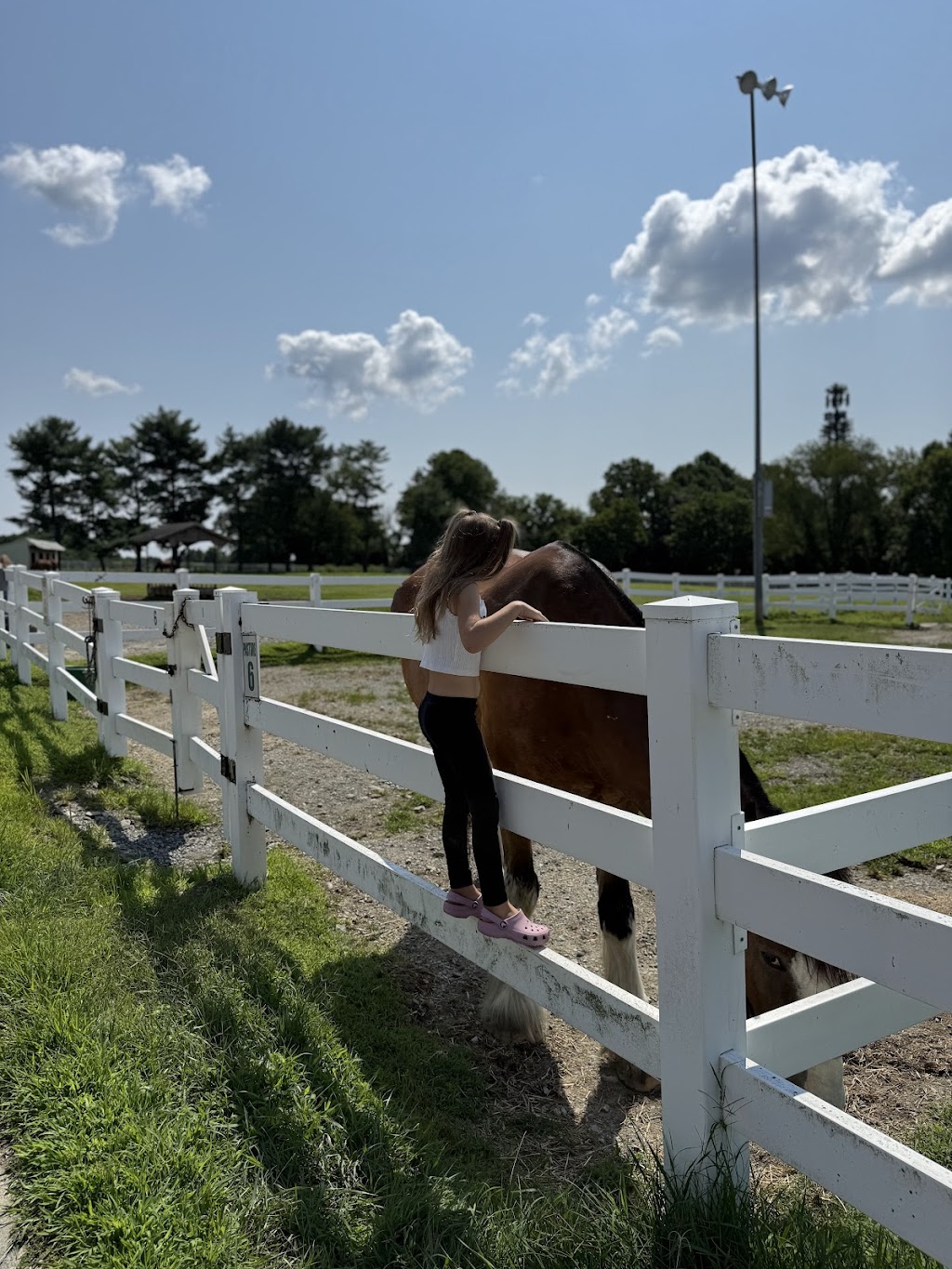 Carousel Park & Equestrian Center