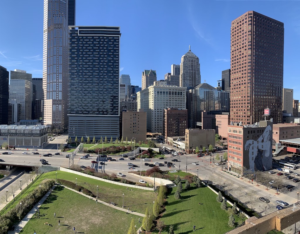 D'Amore Dog Park