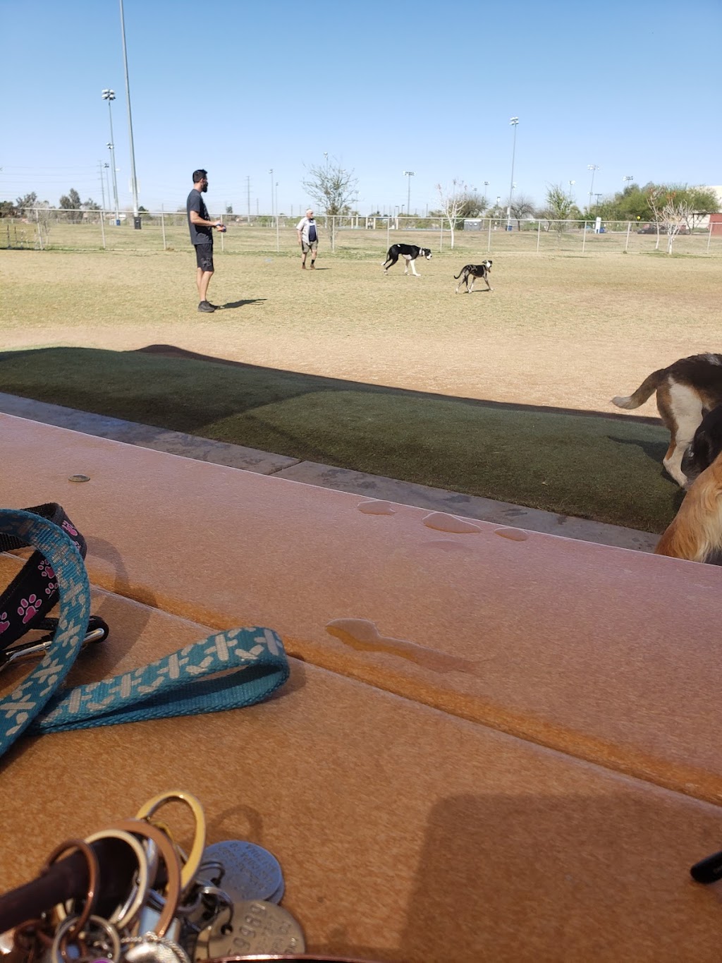 Crossroads Bark Park