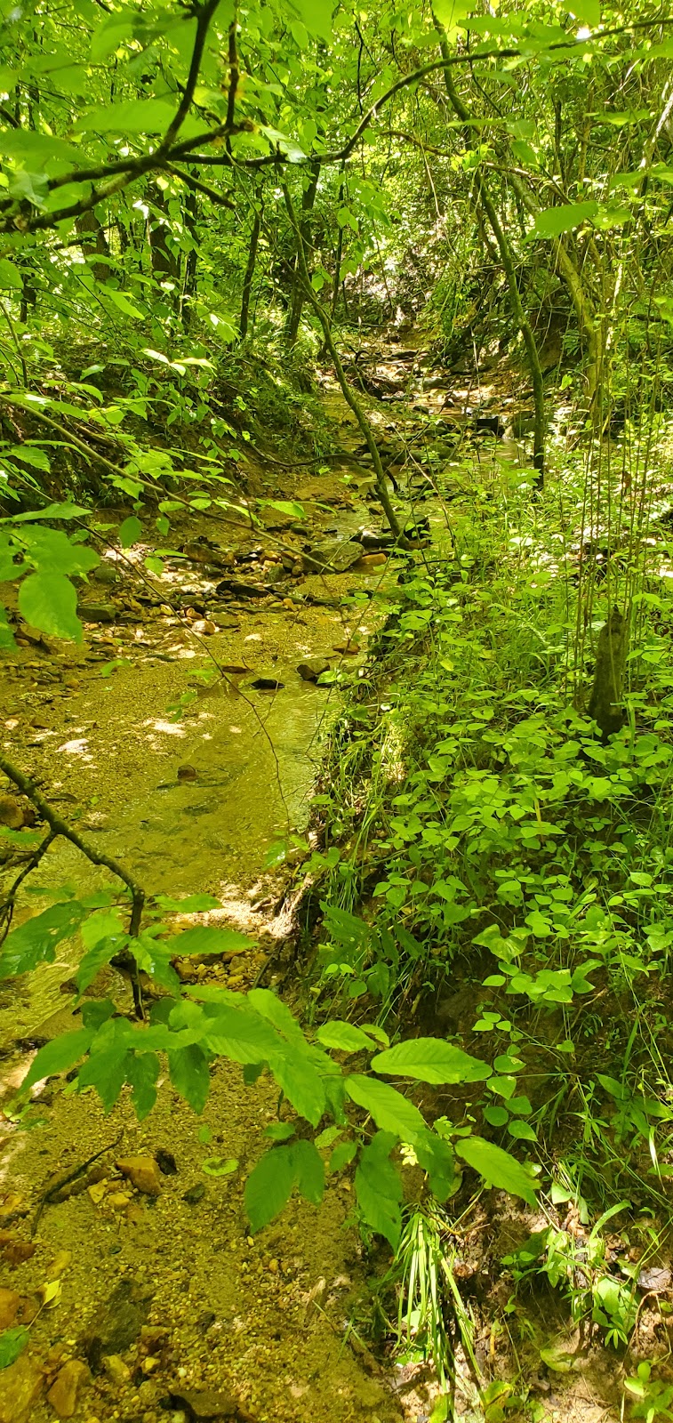 Pilot Mountain State Park — Yadkin River Section