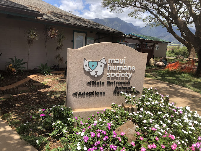 Maui Humane Society