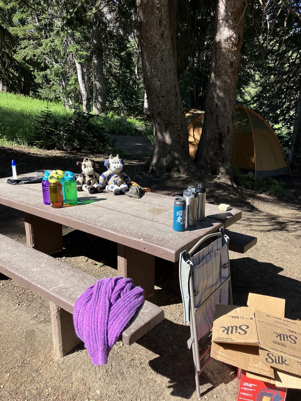 Albion Basin Trails (Summer)