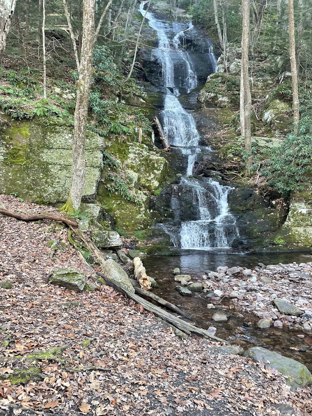 Stokes State Forest Campground