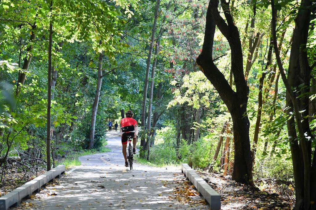 Van Cortlandt Park Dog Run