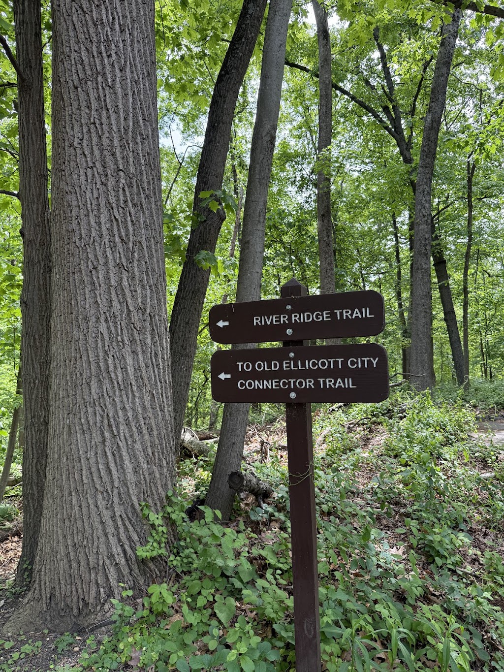 Patapsco Valley State Park, Ellicott City