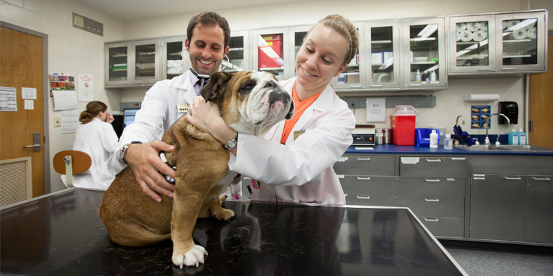Purdue University Veterinary Hospital
