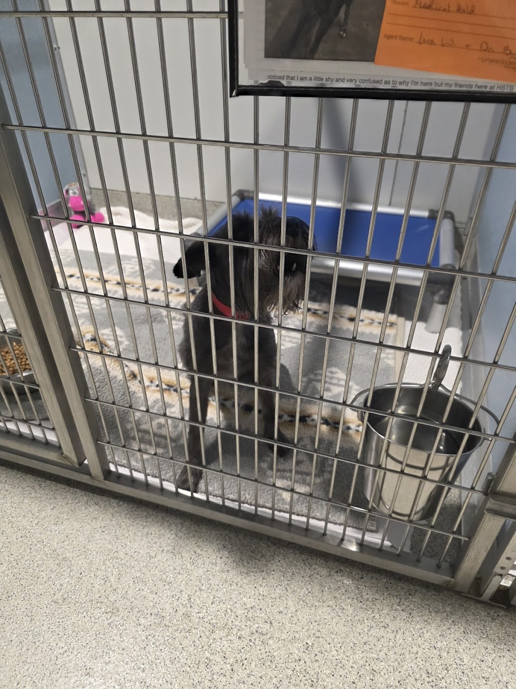 Humane Society of Tampa Bay