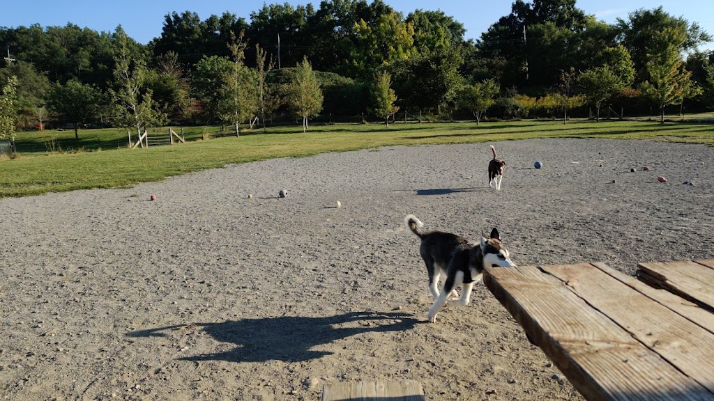 Olson Park Dog Park