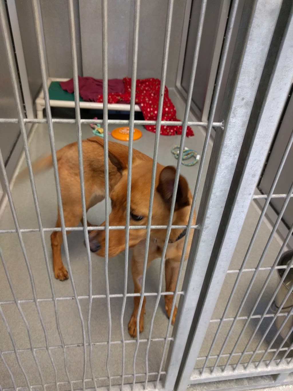 Montgomery County Humane Society