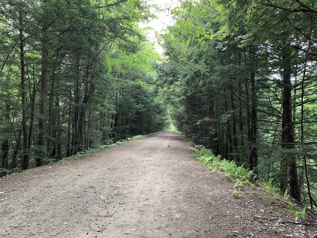 Rockingham Recreational Trail
