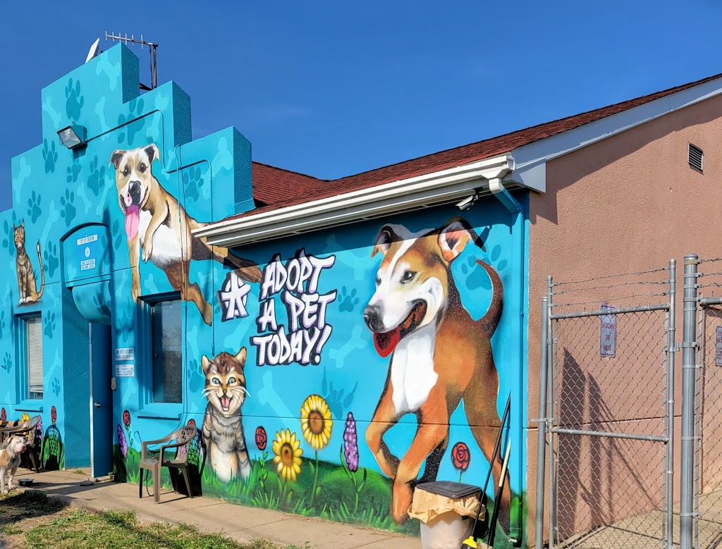 Trenton Animals Rock