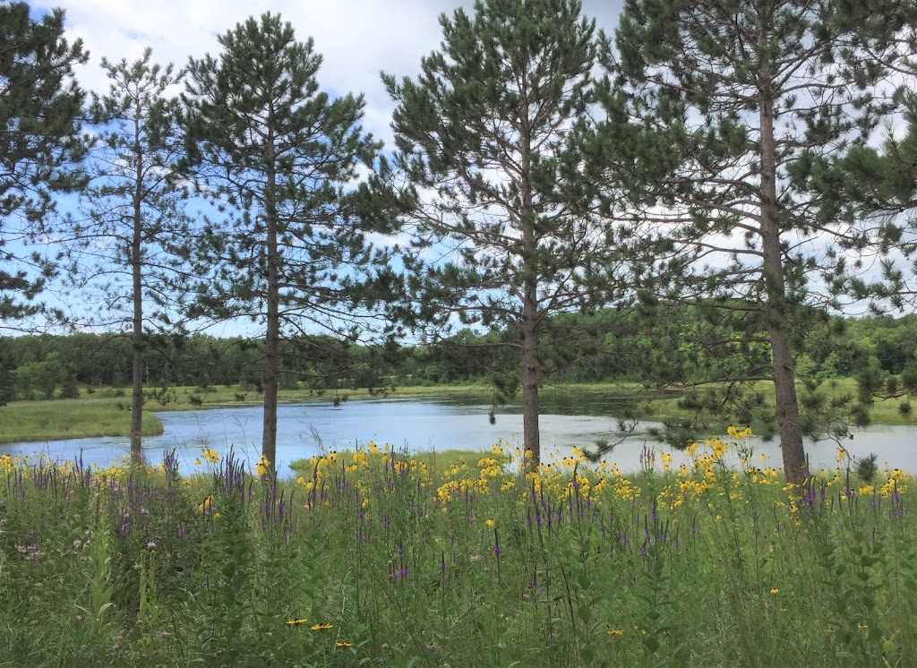 Tamarac National Wildlife Refuge