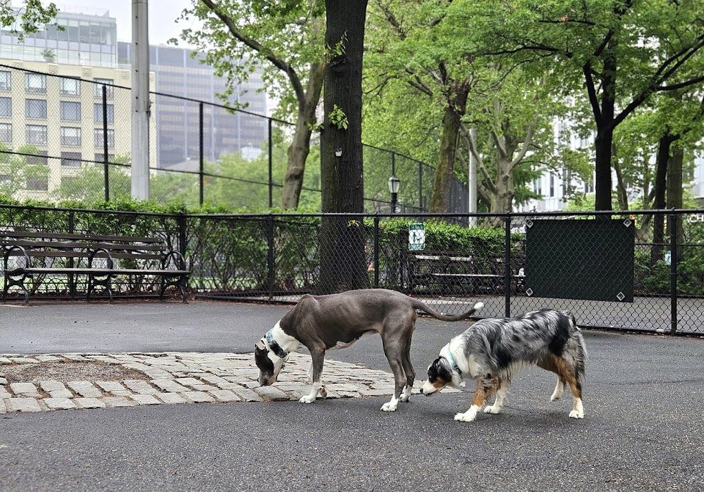 DeWitt Clinton Park Dog Run