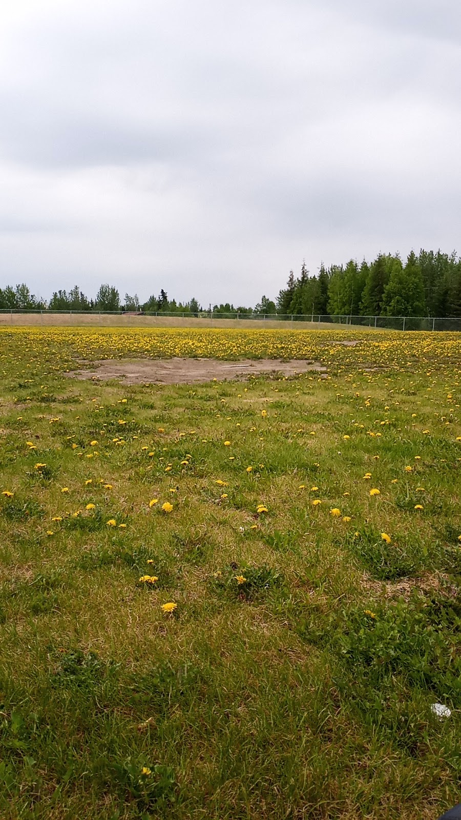 Bernice Allridge Dog Park