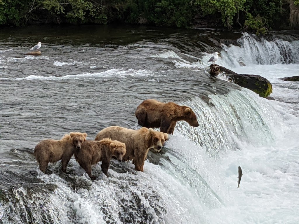 Katmai National Park & Preserve