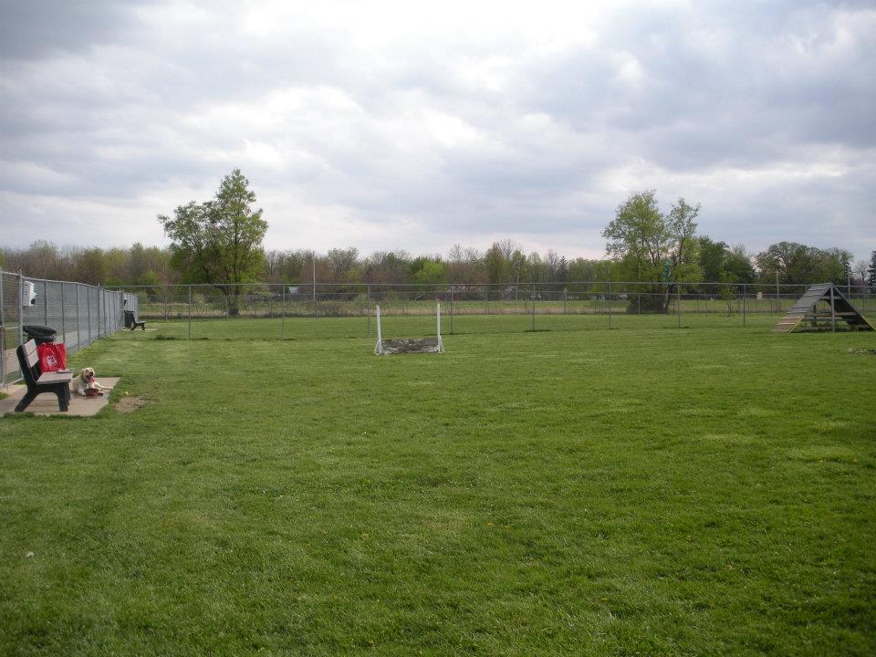 Wood County Dog Park