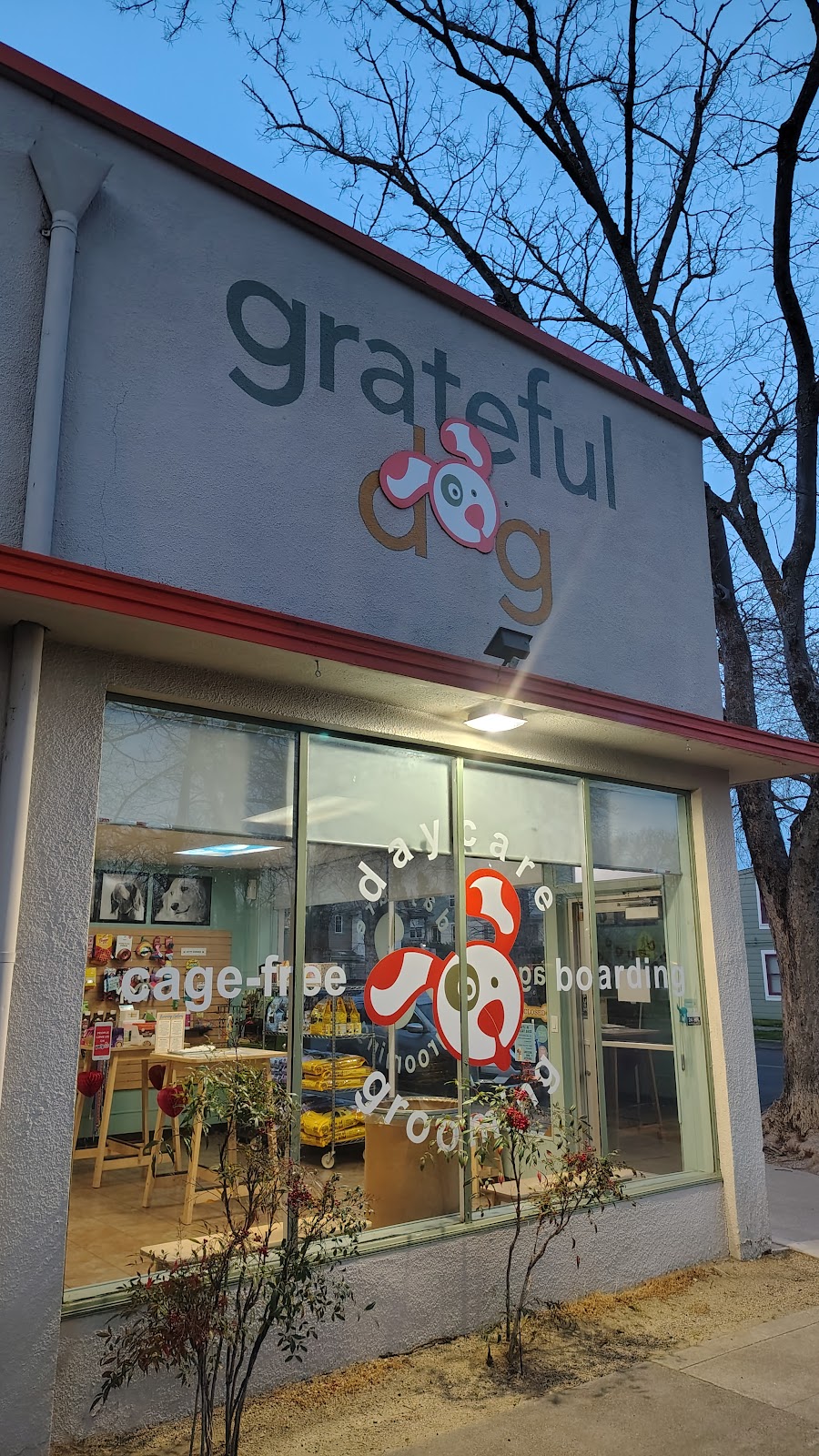 The Grateful Dog Daycare