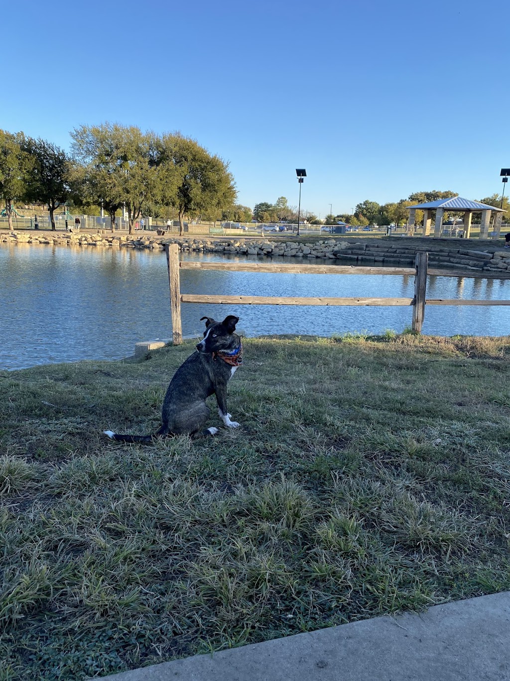 ZBonz Dog Park