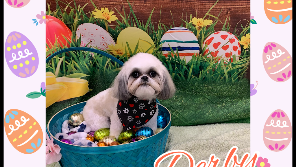 Pawsh Pet Spa