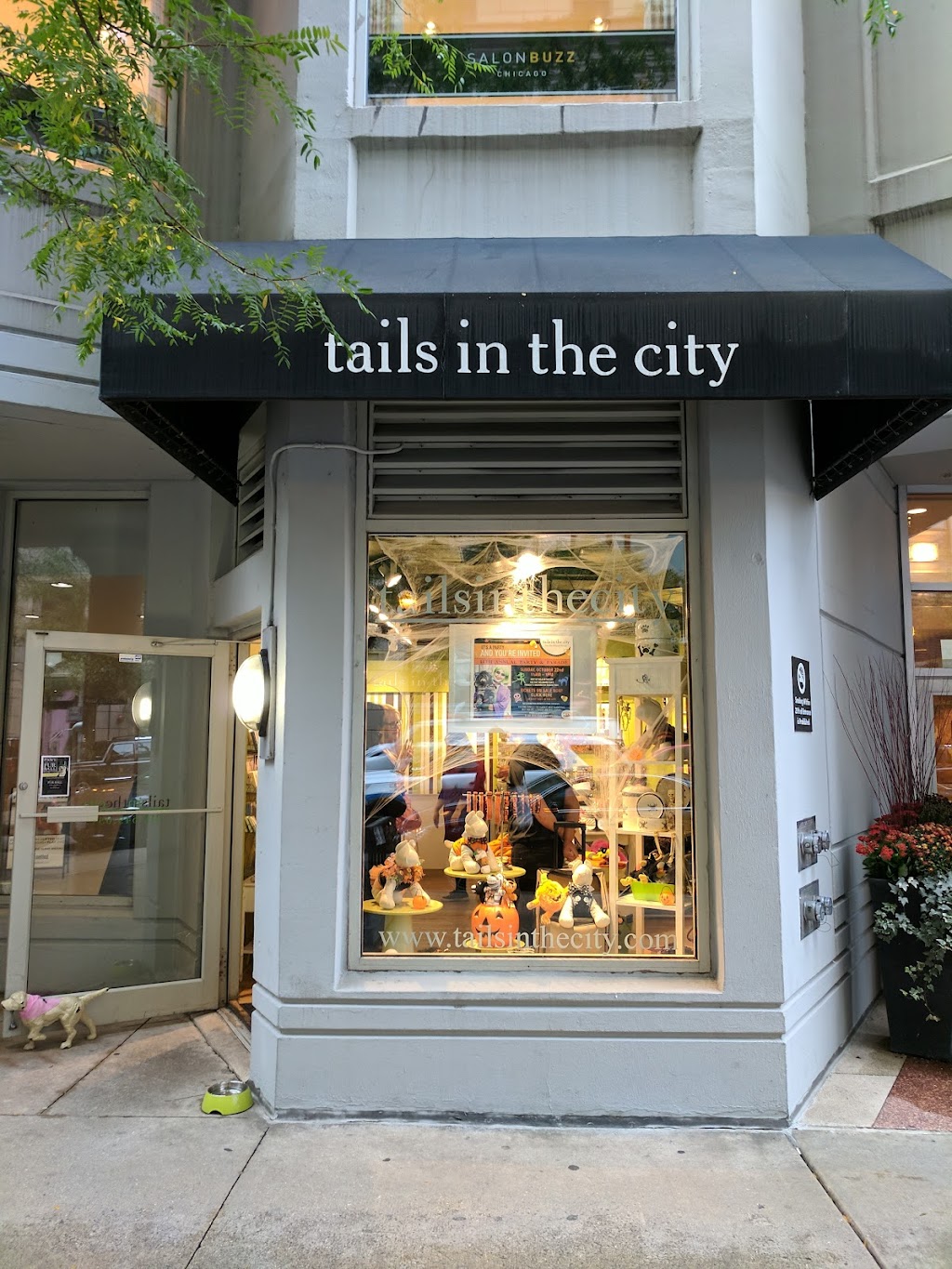 Tails in the City