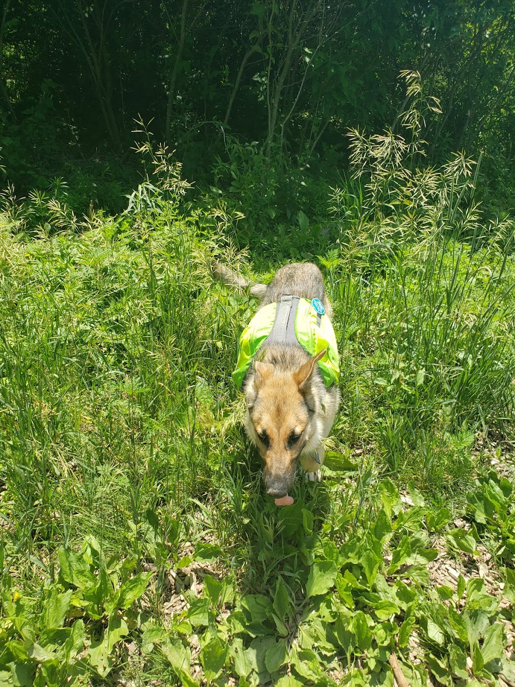 Prairie Moraine Off-Leash Dog Park