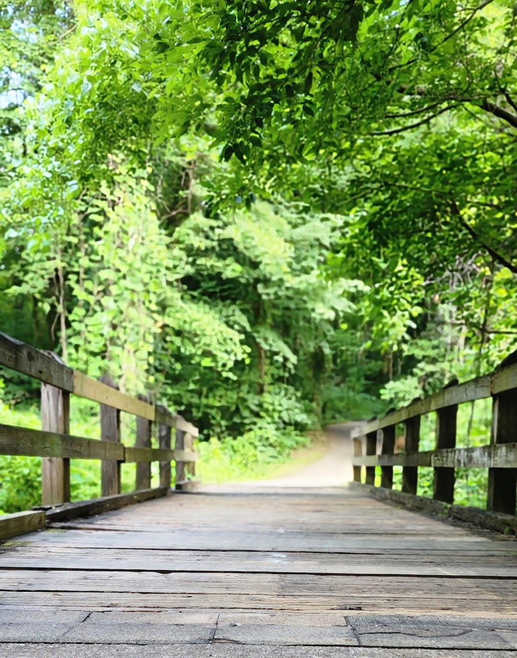Third Creek Greenway
