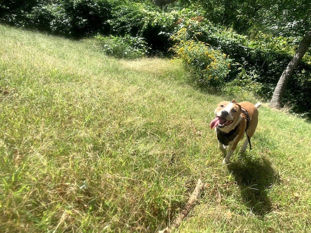 Edgewood Park Dog Park