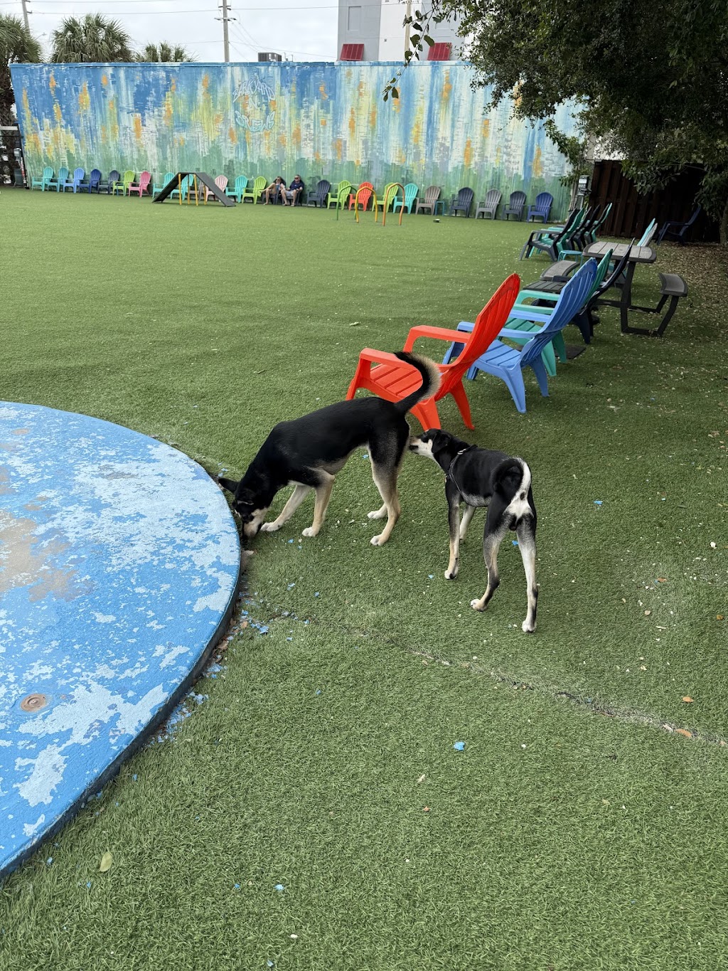 Bark Park Las Olas