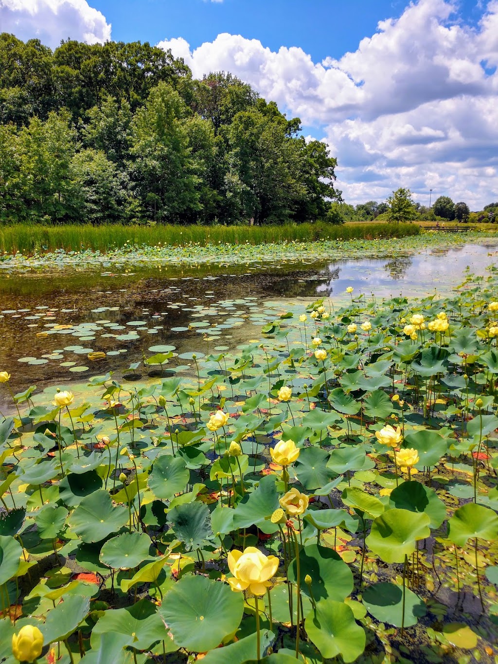W.W. Knight Nature Preserve