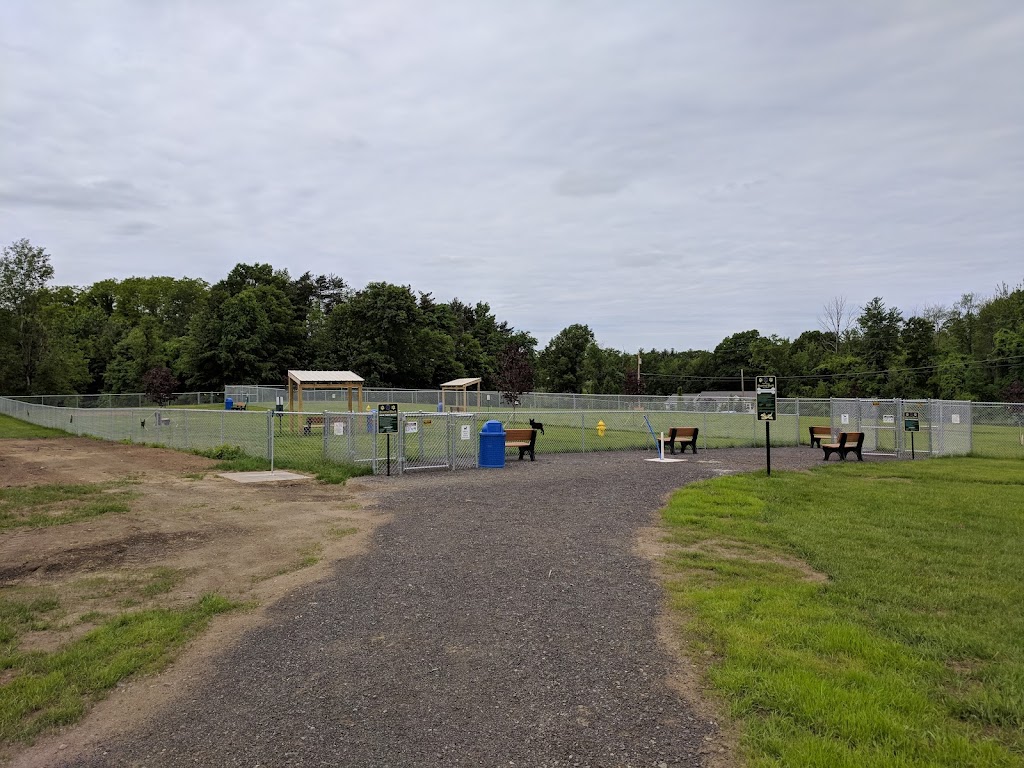 Clifton Common Dog Park