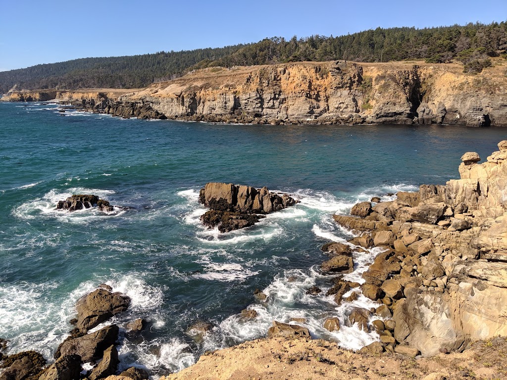 Salt Point State Park