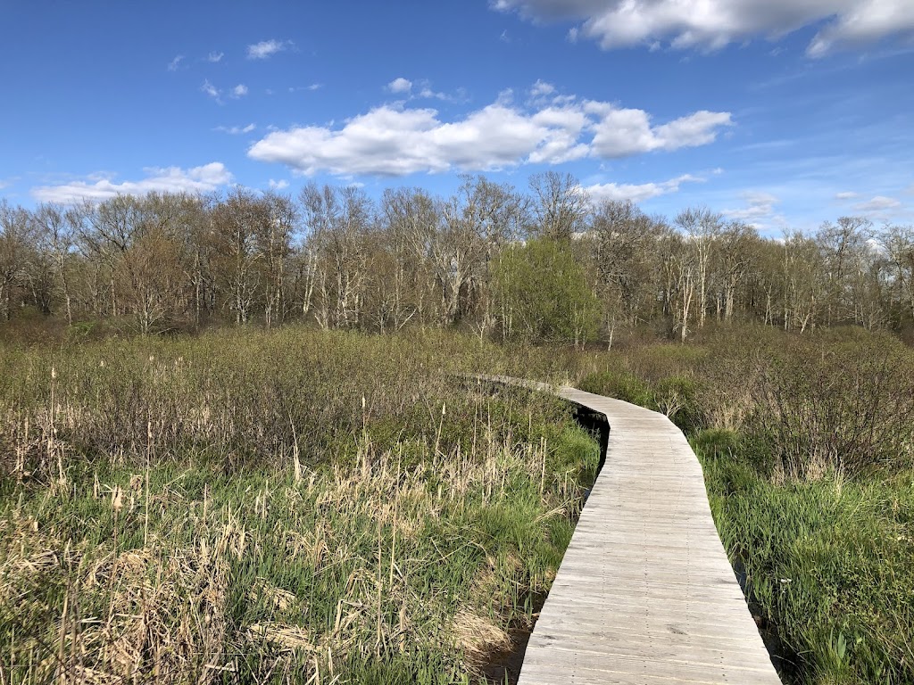 White Memorial Conservation Center
