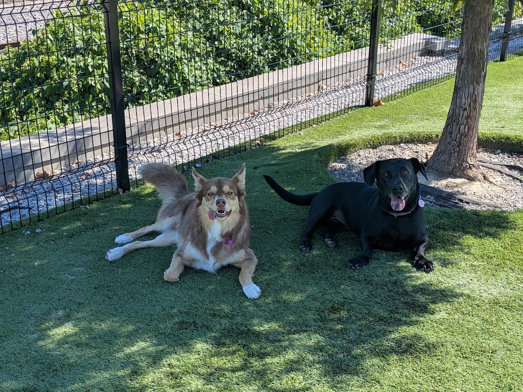 Factory 52 Bark Park