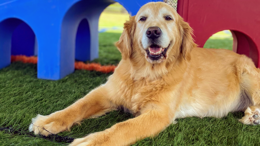 Mooresville Bark Park