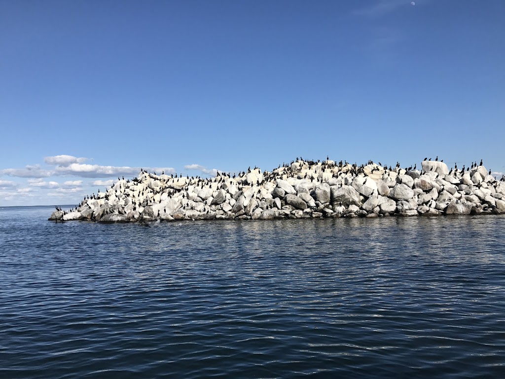 Mille Lacs National Wildlife Refuge