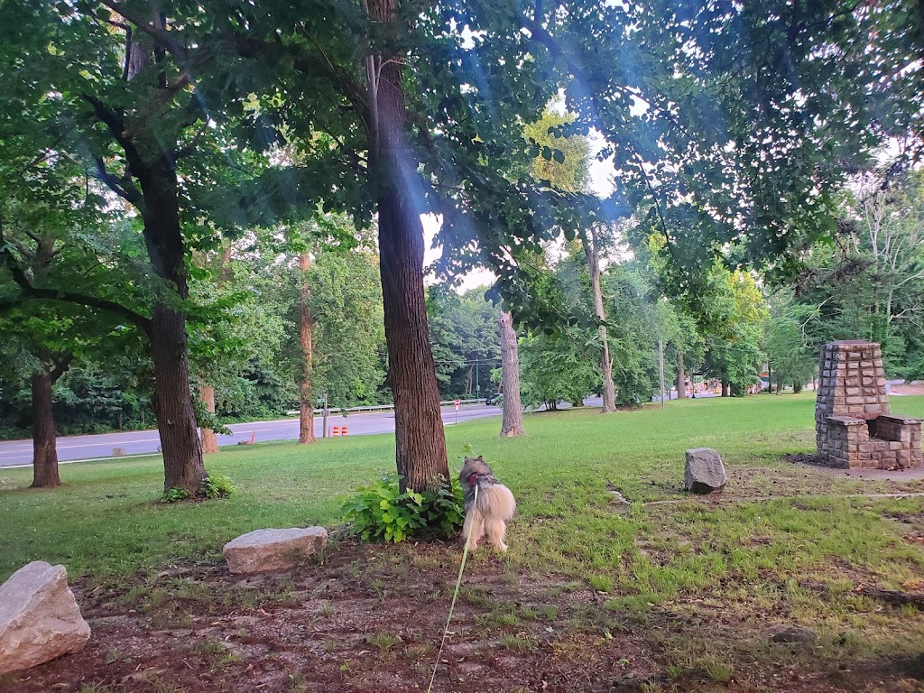 Barker Field Dog Park