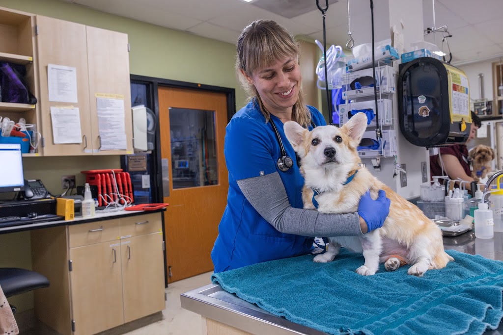 DoveLewis Emergency Animal Hospital