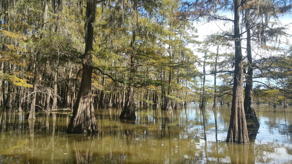 St. Catherine Creek National Wildlife Refuge