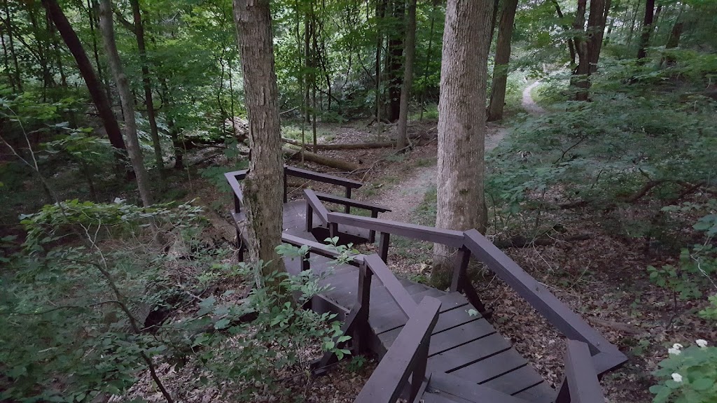 Rockwoods Reservation