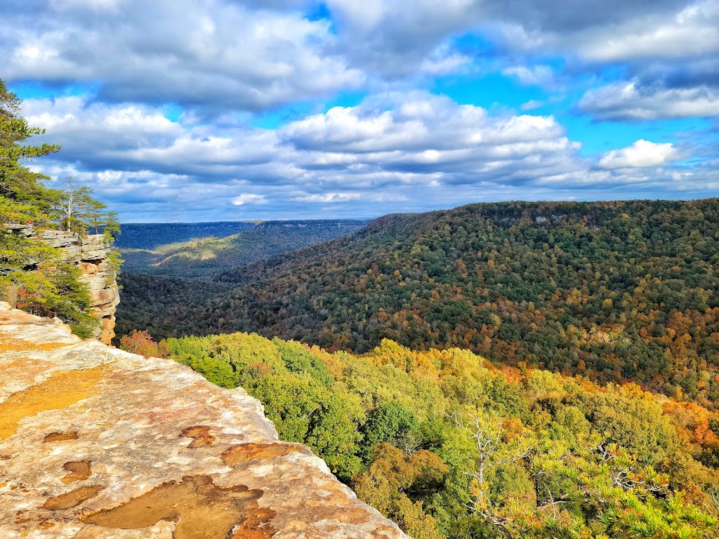 Savage Gulf State Natural Area